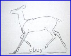 1942 BAMBI WALT DISNEY Original Production cel Drawing deer hunting