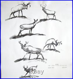 1942 BAMBI WALT DISNEY deer ORIGINAL PRODUCTION cel drawing PHOTO MODEL SHEET