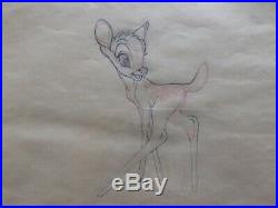 1942 Rare Walt Disney Bambi Original Production Animation Drawing Cel
