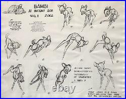 1942 Rare Walt Disney Bambi Original Production Animation Model Sheet Cel