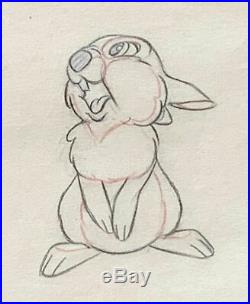 1942 Rare Walt Disney Bambi Thumper Original Production Animation Drawing Cel