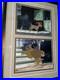 1955 Walt Disney Lady And The Tramp Original Production Cels (2 cels)
