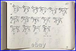 1961 Disney 101 Dalmatians 13 Original Production Animation Model Sheets Cel