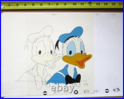 1980's DONALD DUCK WALT DISNEY ORIGINAL PRODUCTION CEL + DRAWING sailor hat