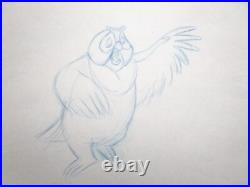 1981 FOX and the HOUND owl Walt Disney ORIGINAL PRODUCTION cel DRAWING