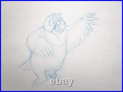 1981 FOX and the HOUND owl Walt Disney ORIGINAL PRODUCTION cel DRAWING