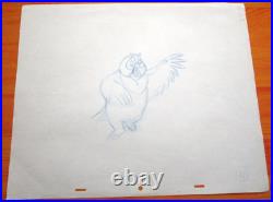 1981 FOX and the HOUND owl Walt Disney ORIGINAL PRODUCTION cel DRAWING