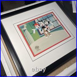 ANIMANIACS Animation Cel Vintage 90's Cartoons Production Art Looney Tunes X1