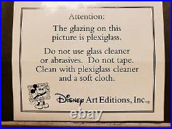 DISNEY Limited Edition Don't Be Bashful Cel with COA in Original Box
