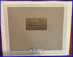 DONALD DUCK & NEPHEW DEWEY DUCK Wonderful World Color DISNEY DISNEYLAND CEL 1957