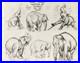 Disney Dumbo-Original Stat Model Sheet-Mother Elephant-1941