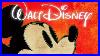 Disney The Magic Of Animation