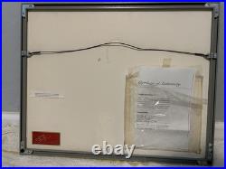 Disney The Rescuers 1977 Original Production Cel Bernard Framed COA Seal