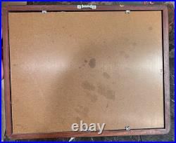 Framed Disney Hand Painted Production Cel Art Duck Tales