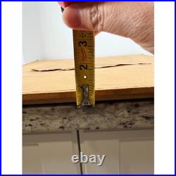 Framed Disney Pinocchio Jiminy Cricket production cel Art Print Wall Decor