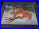 Jungle Book 1967 Shere Khan Disney production Cel large image