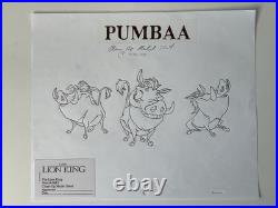 Lion King 1994 Pumbaa Walt Disney Original Production Animation Drawing
