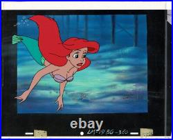 Little Mermaid Ariel Disney TV Production Animation Cel n Drawing 1992-94 19 C-A
