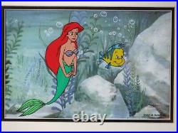 Little Mermaid Disney production cel Ariel Flounder Seal Certificate New Frame