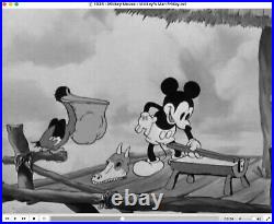 Mickey Mouse 1935 Production Animation Cel Drawing Disney Mickeys Man Friday 110