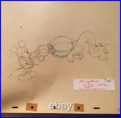 Mickey & Pluto'Mickeys Garden' Vintage 1935 Production Drawing Cel Disney