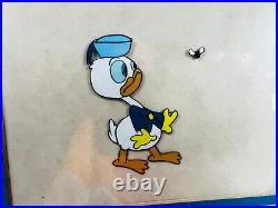 ORIGINAL unkwn Baby Donald Duck Cartoon Animation Cel in Frame disney