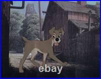 Original Production Cel of Tramp from Lady and the Tramp (1955)