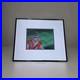 Original Teenage Mutant Ninja Turtles Animation Art Cert OPC Bebop (15822)