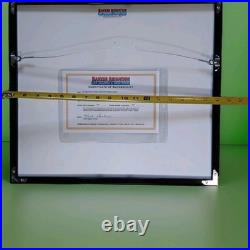 Original Teenage Mutant Ninja Turtles Animation Art Cert OPC Bebop (15822)