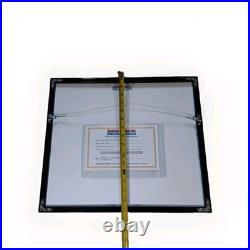 Original Teenage Mutant Ninja Turtles Animation Art Cert OPC Bebop (15822)