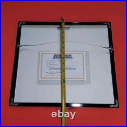 Original Teenage Mutant Ninja Turtles Animation Art Cert OPC Bebop (15822)