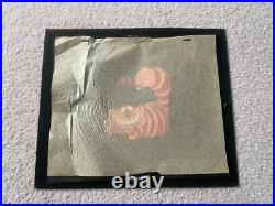 Original WALT DISNEY Alice Wonderland Cheshire Cat Cel Cell Scarce & RARE