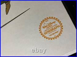 PETER PAN Animation Cel Walt Disney Limited Edition Litho MOVIE Art? Vtg I22