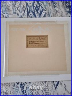 RARE Pair Original Disney Production Cels Donald Duck + Caveman with COA Framed