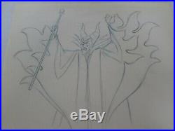 Sleeping Beauty Disney production cel Drawing Maleficent 1959 HUGE image