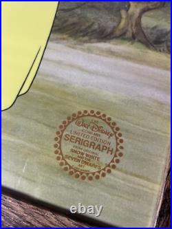 Snow White Animation Cel Walt Disney Movie Autograph Vintage Art dwarves X1