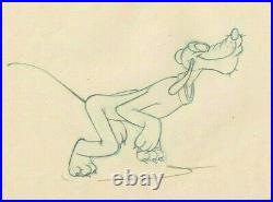 Springtime For Pluto Rare 1944 Disney Production Animation Cel Drawing