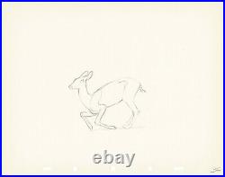 Walt Disney Rough Production Cel Drawing or Study of a Deer 36m